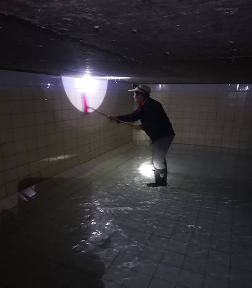 ϺˮϴƵ